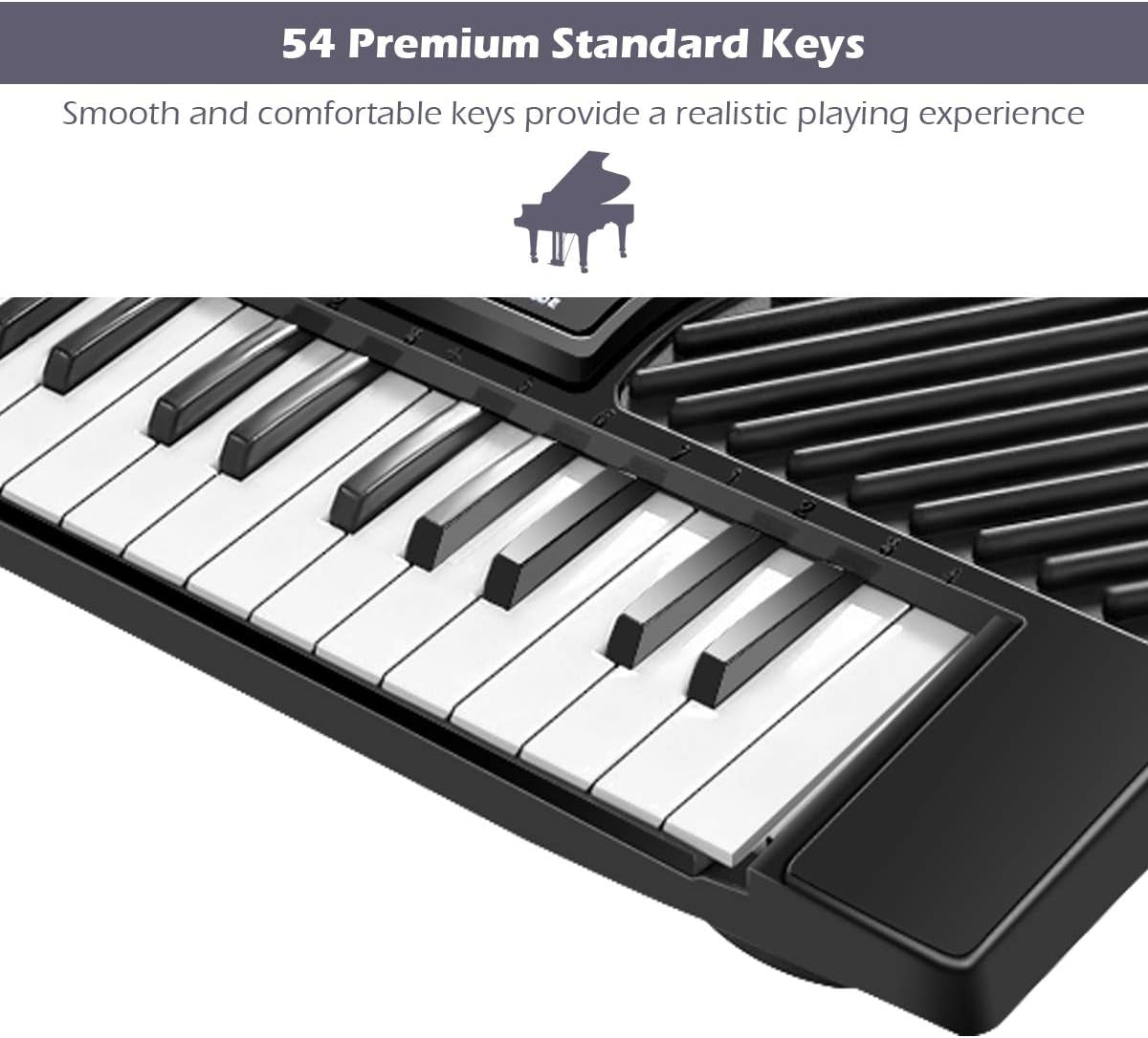 54-Key Electronic Keyboard for Kids Beginners with Mic & Adapter Including LED Digital Display, Learning Function & Demo Songs Standard Accordion Keys Piano Keyboard (Black)