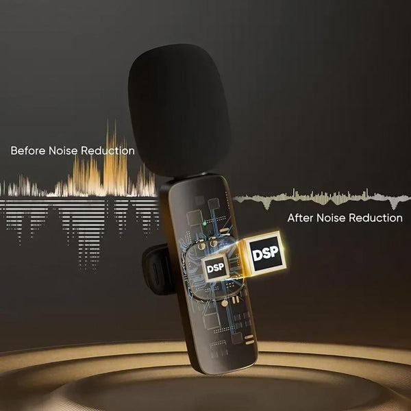 Wireless Lavalier Microphone, USB Rechargeable Lapel Microphone, Portable Wireless Microphone for Iphone Ipad, Professional Wireless Microphone for Interview